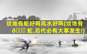 坟地有蛇好吗风水好吗(坟地有 🕊 蛇,后代必有大事发生!)